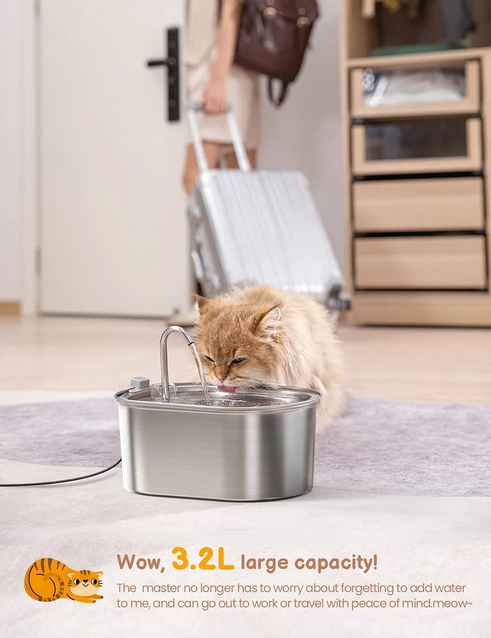 Stainless Steel Pet Water Fountain – Ultra-Quiet, Large Capacity, & Double Filtration