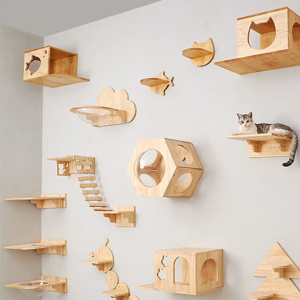 Cat Wall Shelves – The Ultimate Vertical Playground for Your Furry Baby!
