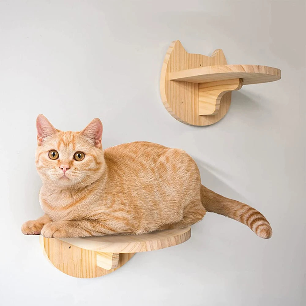 Cat Wall Shelves – The Ultimate Vertical Playground for Your Furry Baby!