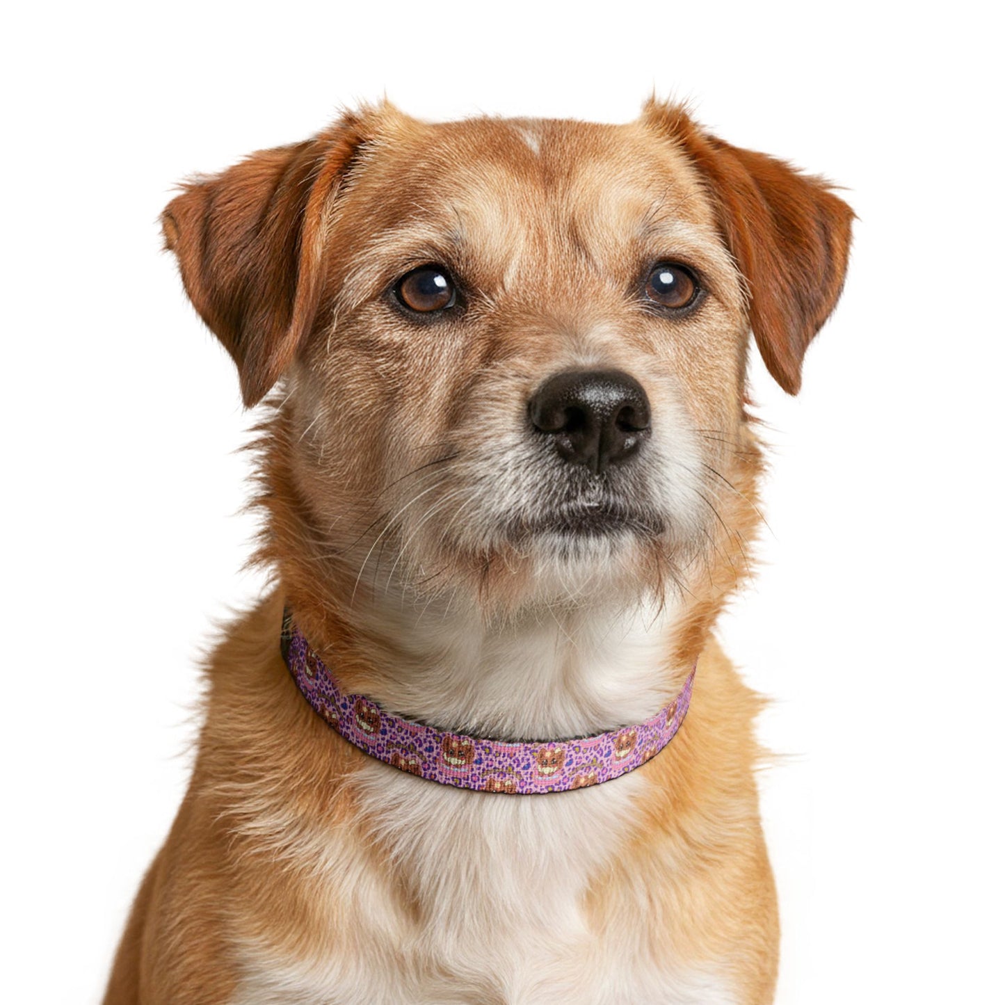 Pink Mosaic Cat Face Clip-on Pet Collar — Cute Floral Pattern for Small Dogs & Cats