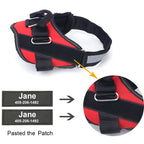 Personalized No-Pull Dog Harness – Safe, Comfy & Perfect for Every Adventure!
