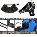 Personalized No-Pull Dog Harness – Safe, Comfy & Perfect for Every Adventure!