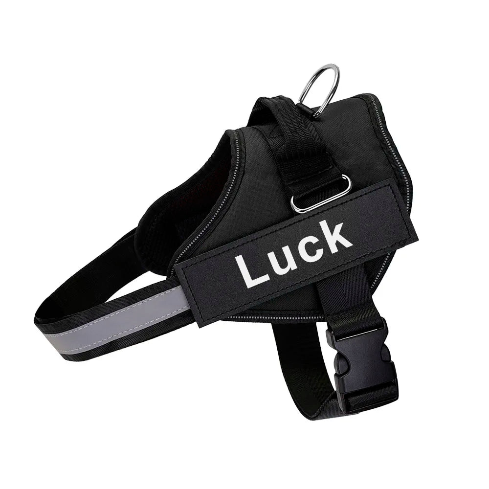 Personalized No-Pull Dog Harness – Safe, Comfy & Perfect for Every Adventure!