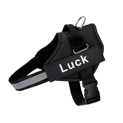 Personalized No-Pull Dog Harness – Safe, Comfy & Perfect for Every Adventure!