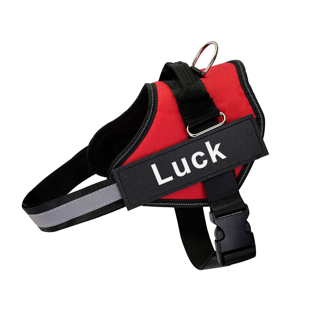 Personalized No-Pull Dog Harness – Safe, Comfy & Perfect for Every Adventure!