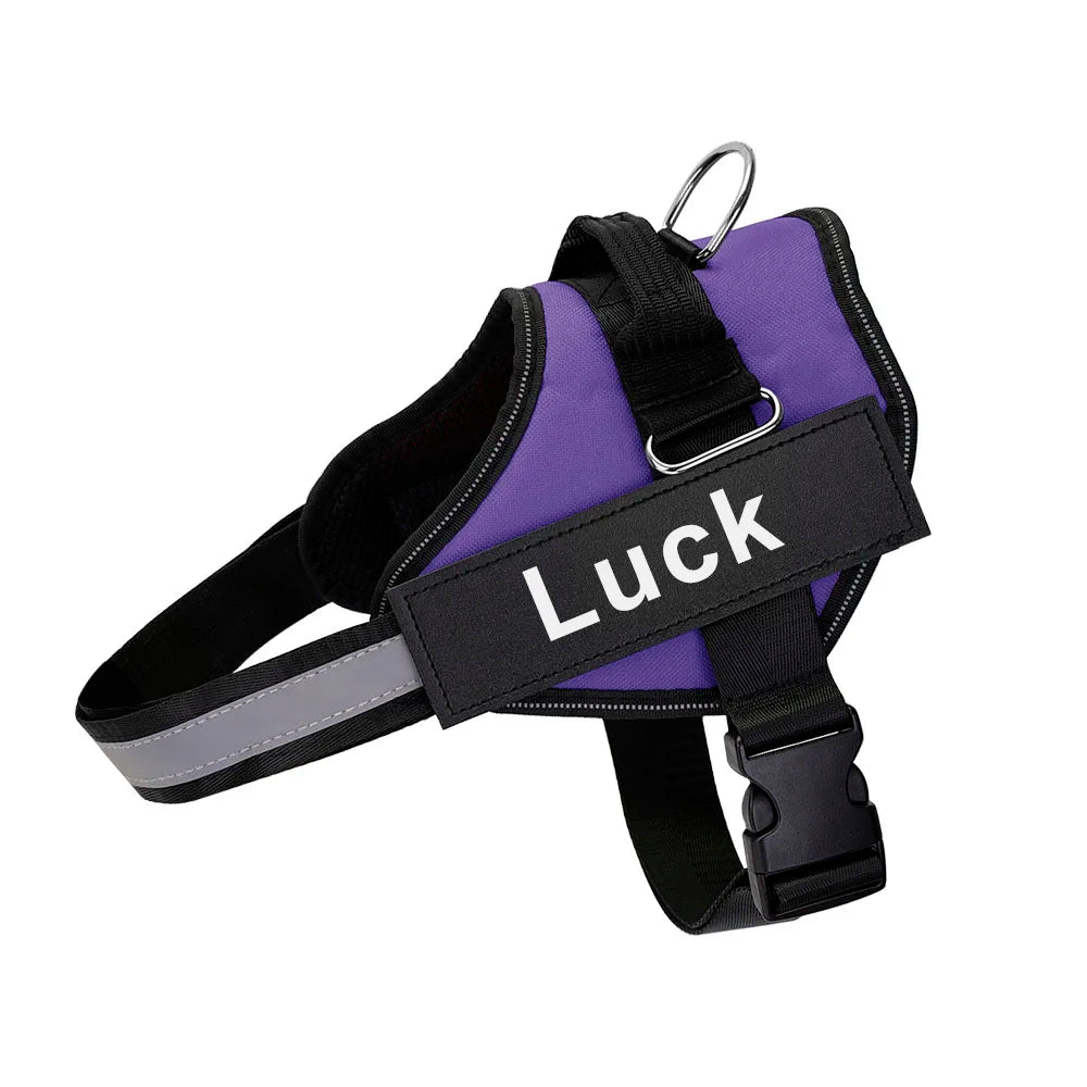 Personalized No-Pull Dog Harness – Safe, Comfy & Perfect for Every Adventure!