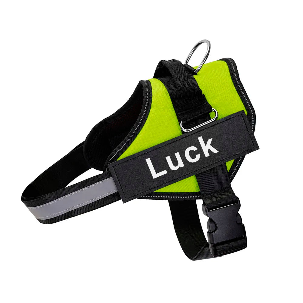 Personalized No-Pull Dog Harness – Safe, Comfy & Perfect for Every Adventure!