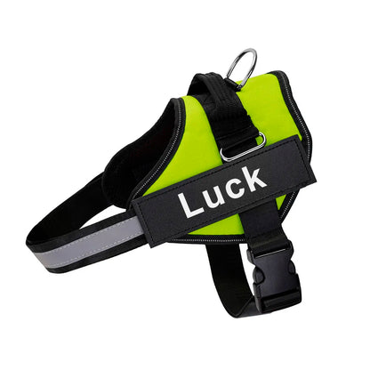 Personalized No-Pull Dog Harness – Safe, Comfy & Perfect for Every Adventure!