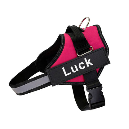 Personalized No-Pull Dog Harness – Safe, Comfy & Perfect for Every Adventure!