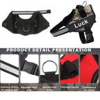 Personalized No-Pull Dog Harness – Safe, Comfy & Perfect for Every Adventure!