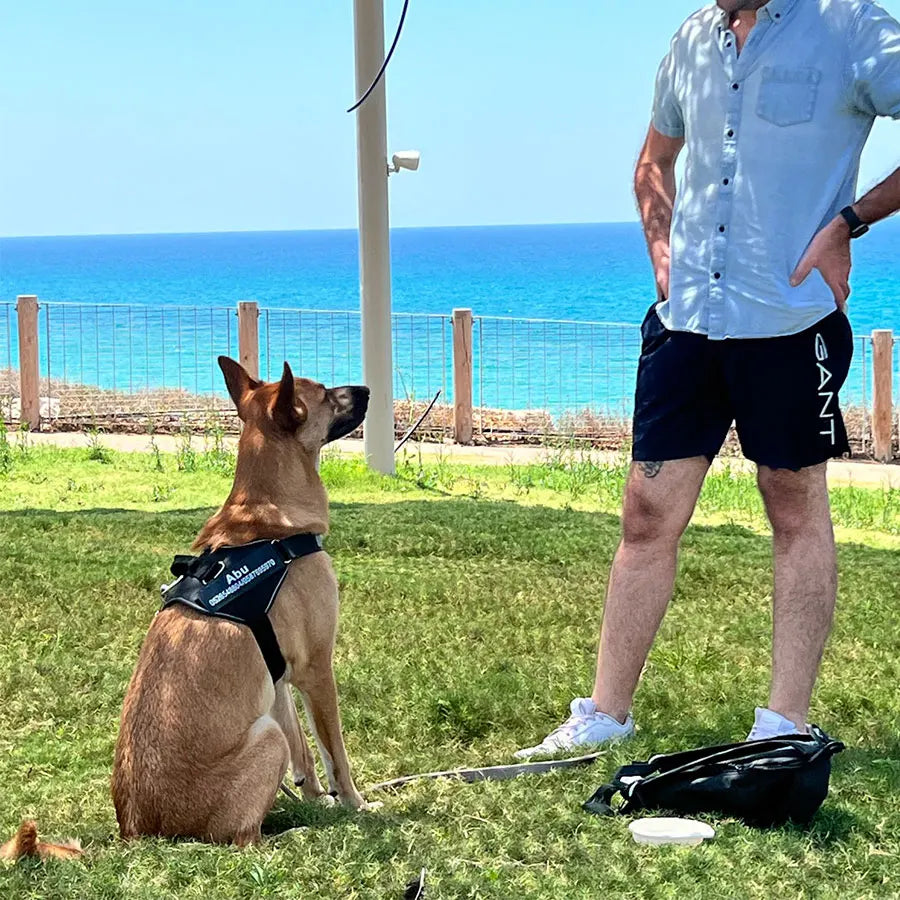 Personalized No-Pull Dog Harness – Safe, Comfy & Perfect for Every Adventure!