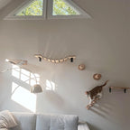 Cat Wall Shelves – The Ultimate Vertical Playground for Your Furry Baby!