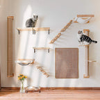 Cat Wall Shelves – The Ultimate Vertical Playground for Your Furry Baby!