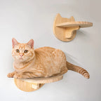 Cat Wall Shelves – The Ultimate Vertical Playground for Your Furry Baby!