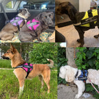 Personalized No-Pull Dog Harness – Safe, Comfy & Perfect for Every Adventure!