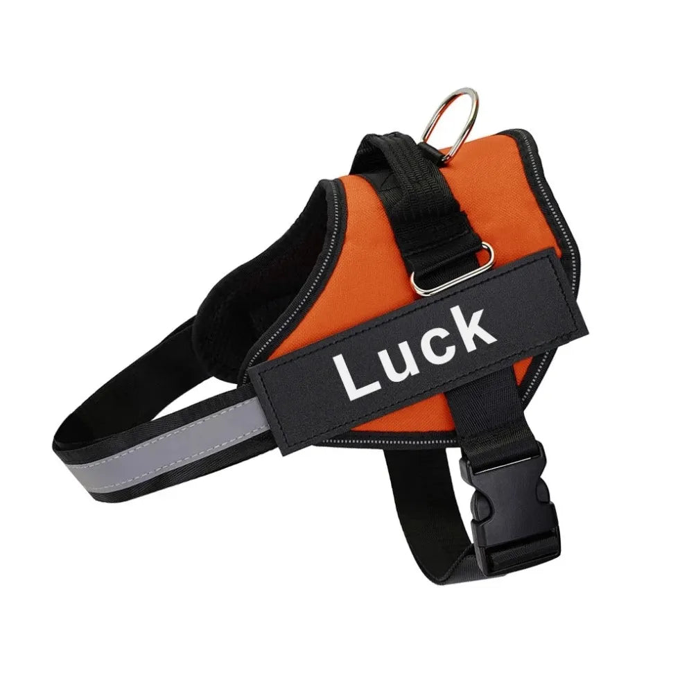 Personalized No-Pull Dog Harness – Safe, Comfy & Perfect for Every Adventure!