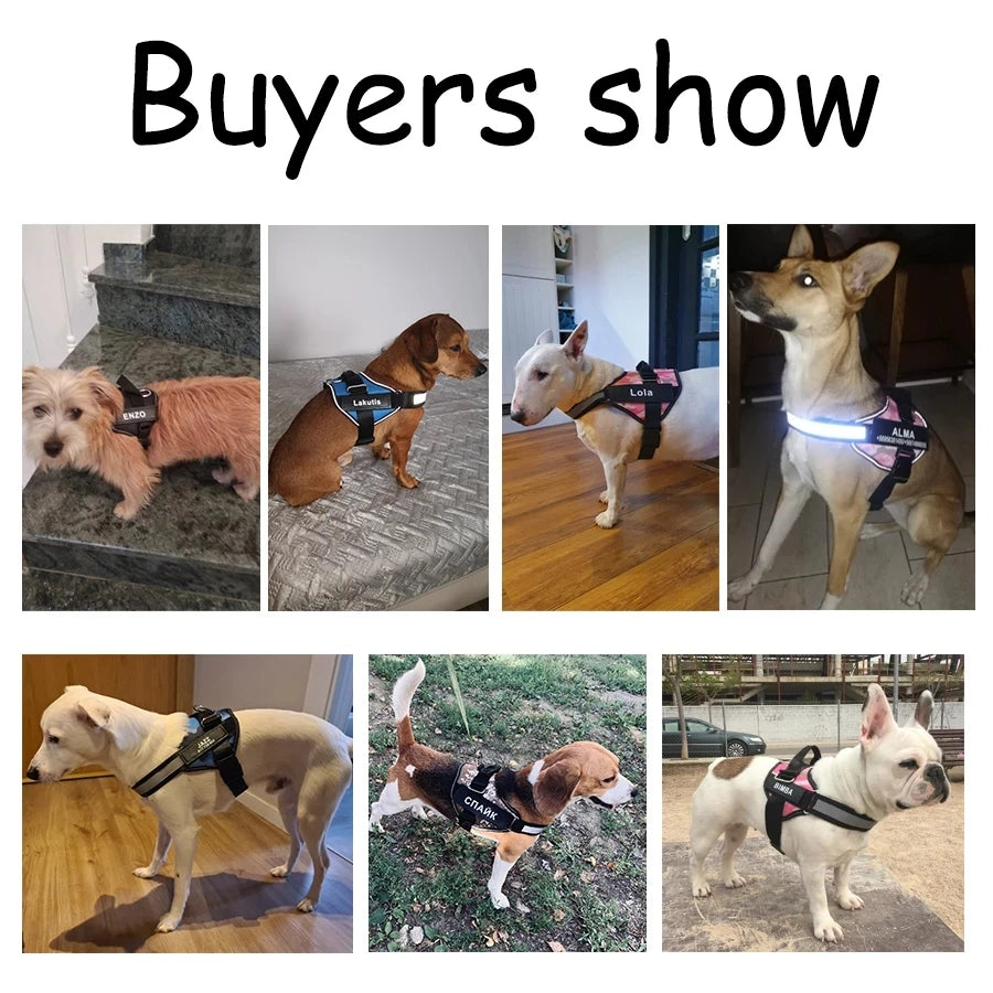 Personalized No-Pull Dog Harness – Safe, Comfy & Perfect for Every Adventure!