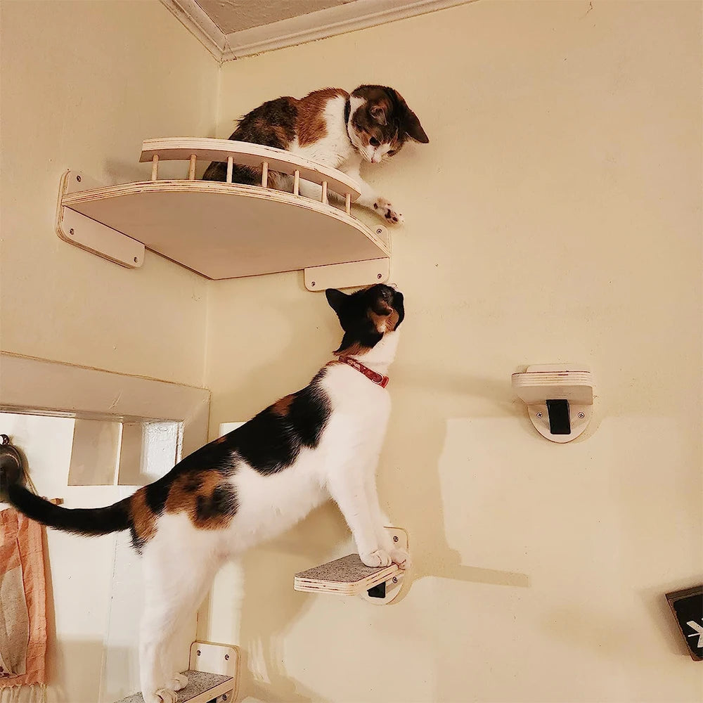 Cat Wall Shelves – The Ultimate Vertical Playground for Your Furry Baby!