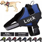 Personalized No-Pull Dog Harness – Safe, Comfy & Perfect for Every Adventure!